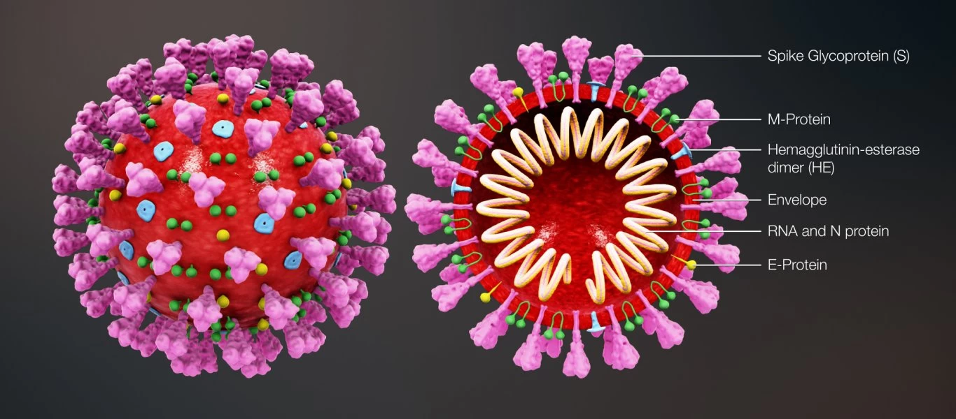 Ελληνική μελέτη για τον κορωνοϊό δίνει ελπίδες: «Δείχνει να μην αντέχει την ζέστη»